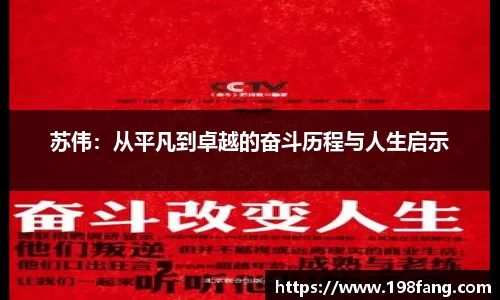 苏伟：从平凡到卓越的奋斗历程与人生启示