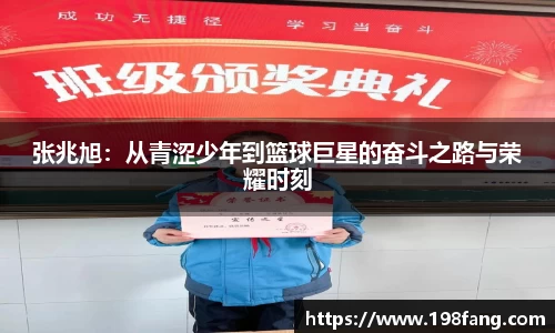 完美体育APP