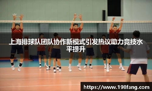 上海排球队团队协作新模式引发热议助力竞技水平提升